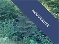 Image du bien UBI478779914